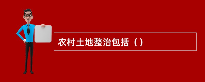 农村土地整治包括（）