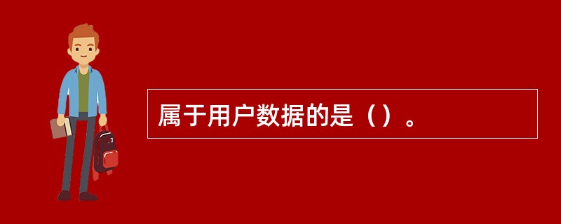 属于用户数据的是（）。