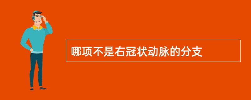 哪项不是右冠状动脉的分支