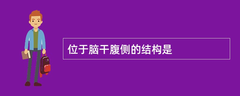 位于脑干腹侧的结构是