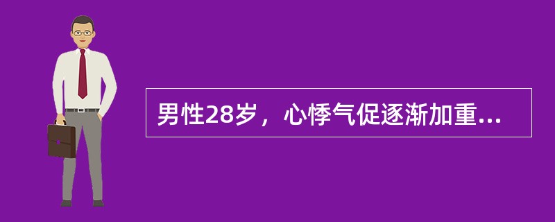 男性28岁，心悸气促逐渐加重伴心前区疼痛半个月，低热T37.5～38.5℃，盗汗