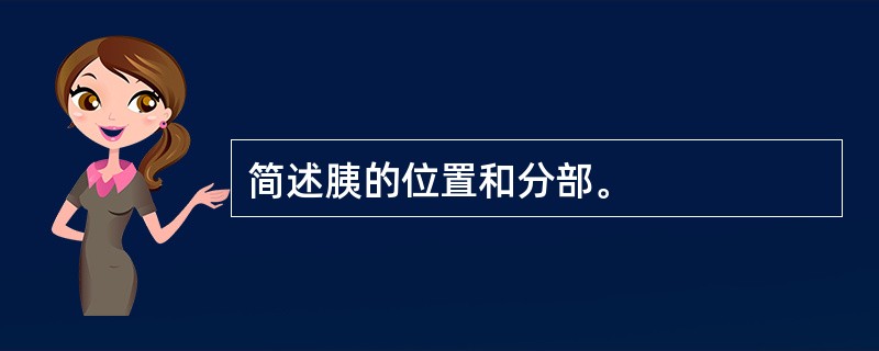 简述胰的位置和分部。