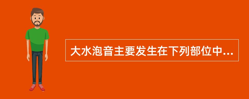 大水泡音主要发生在下列部位中的（）