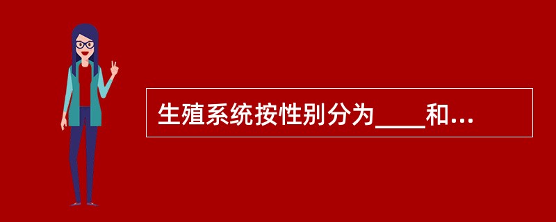 生殖系统按性别分为____和____，主要功能是产生____，分泌____。