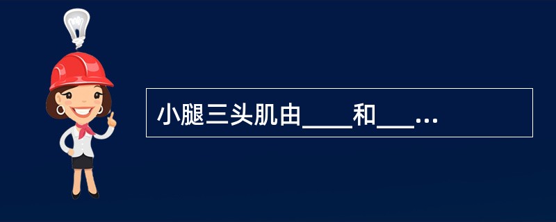 小腿三头肌由____和____组成，站立时能固定____和____。