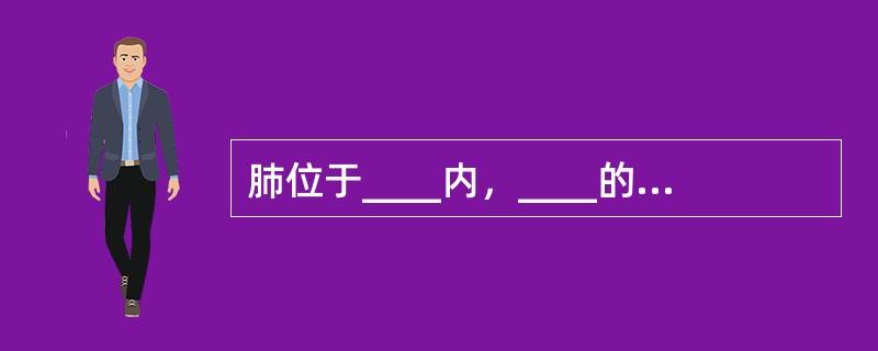 肺位于____内，____的两侧，其中右肺较____，左肺较____。