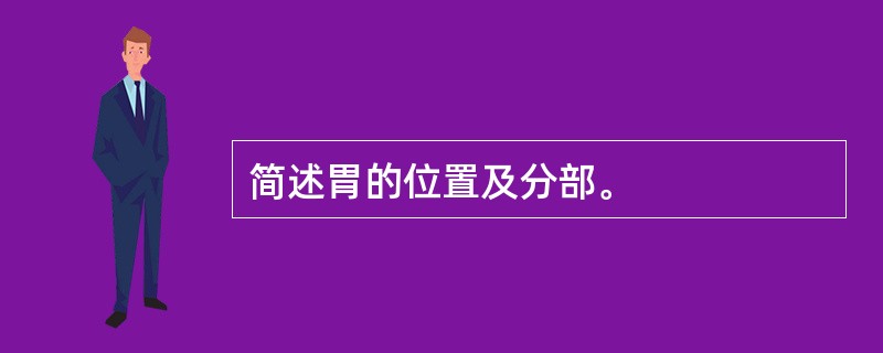 简述胃的位置及分部。