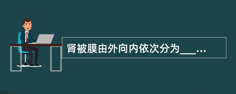 肾被膜由外向内依次分为____、____和____。