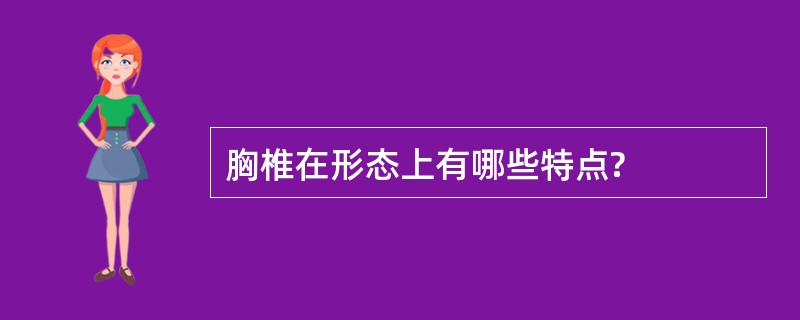 胸椎在形态上有哪些特点?