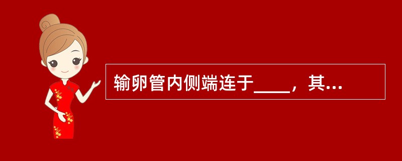 输卵管内侧端连于____，其开口称____；外侧端以____开口于腹膜腔。