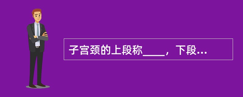 子宫颈的上段称____，下段称____，