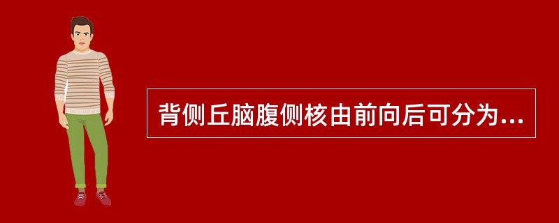 背侧丘脑腹侧核由前向后可分为____、____和腹后核，腹后核又分为____和_