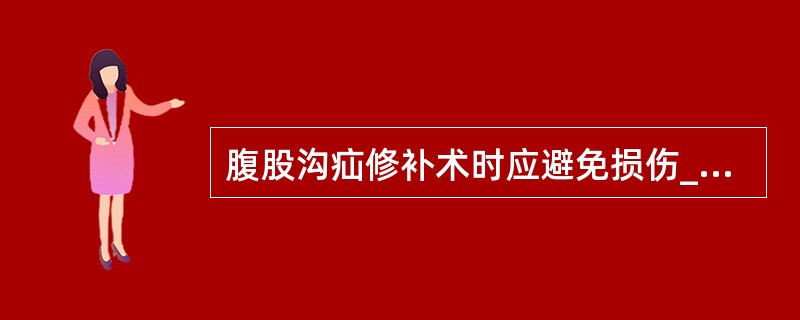 腹股沟疝修补术时应避免损伤____和____。