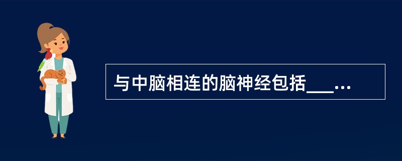 与中脑相连的脑神经包括____和____。