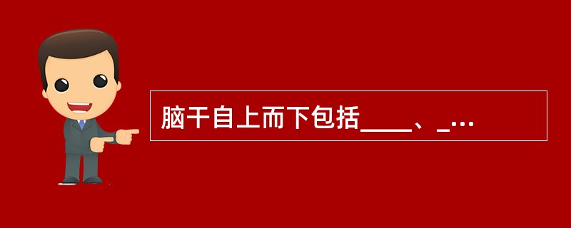 脑干自上而下包括____、____和____。