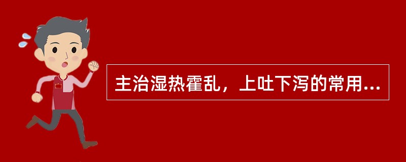 主治湿热霍乱，上吐下泻的常用方是（）