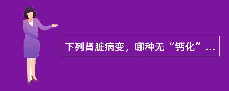 下列肾脏病变，哪种无“钙化”表现（）