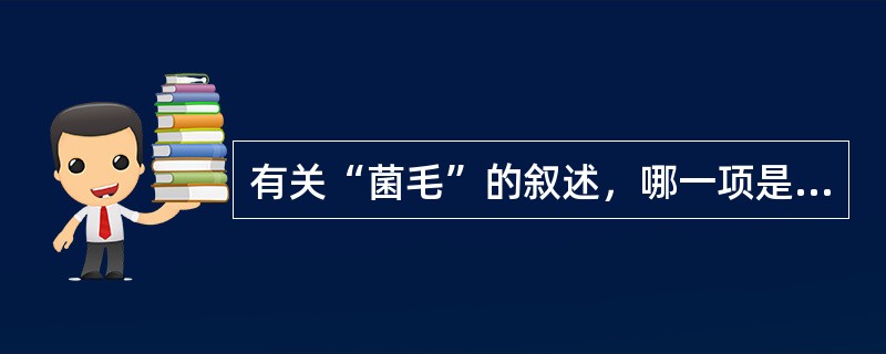 有关“菌毛”的叙述，哪一项是正确的（）