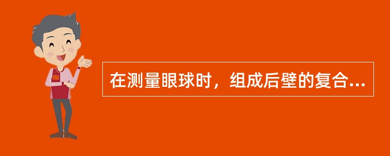 在测量眼球时，组成后壁的复合回声构成是（）。