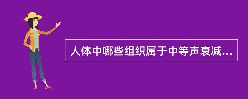 人体中哪些组织属于中等声衰减（）。