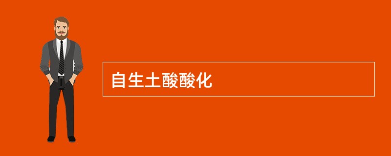 自生土酸酸化