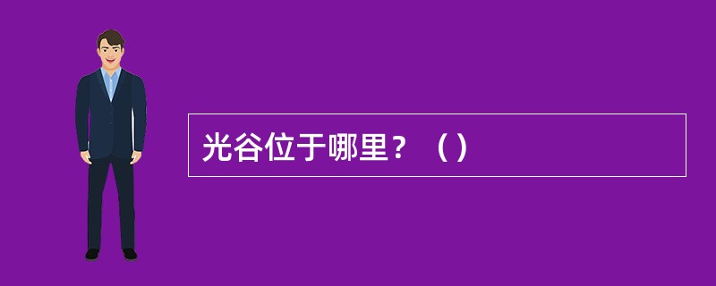 光谷位于哪里？（）