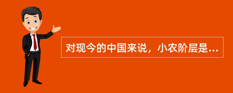 对现今的中国来说，小农阶层是社会存在的稳定器。