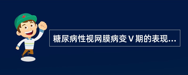 糖尿病性视网膜病变Ⅴ期的表现是（）