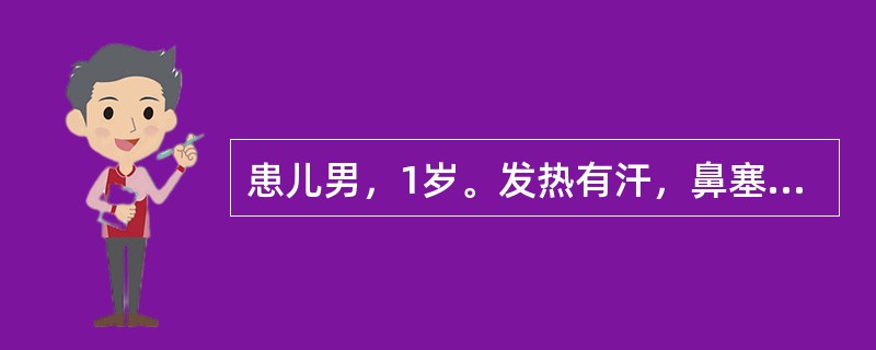 患儿男，1岁。发热有汗，鼻塞流涕，咽部充血，口渴，苔薄黄，兼见脘腹胀满，呕吐酸腐