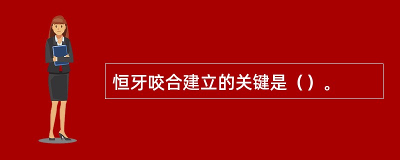 恒牙咬合建立的关键是（）。