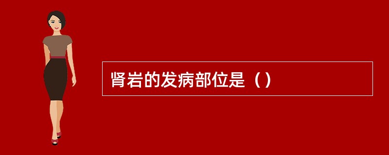 肾岩的发病部位是（）