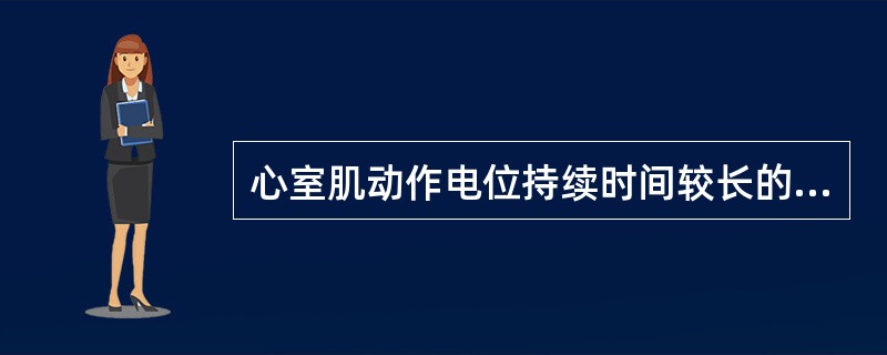 心室肌动作电位持续时间较长的主要原因在于：（）