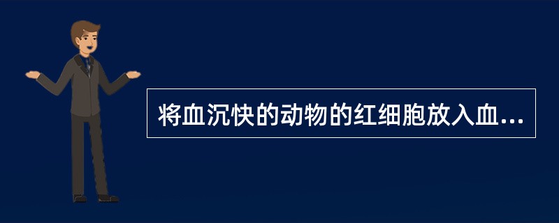 将血沉快的动物的红细胞放入血沉正常的动物的血浆中，与正常情况相比，红细胞的沉降率