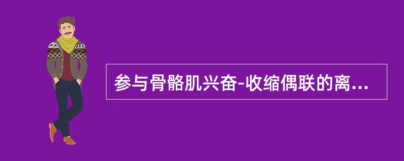 参与骨骼肌兴奋-收缩偶联的离子是（）