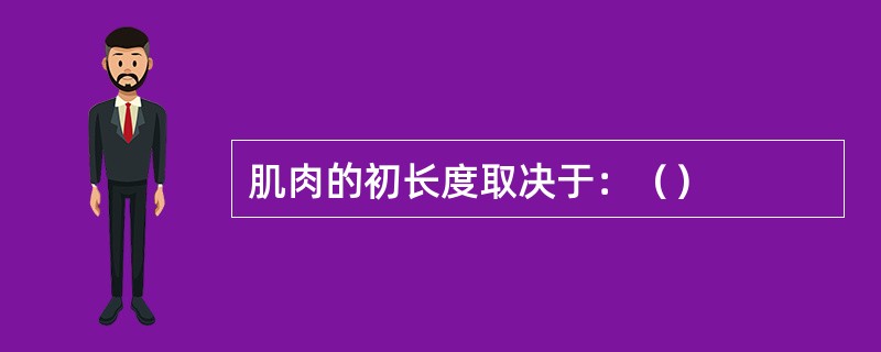 肌肉的初长度取决于：（）