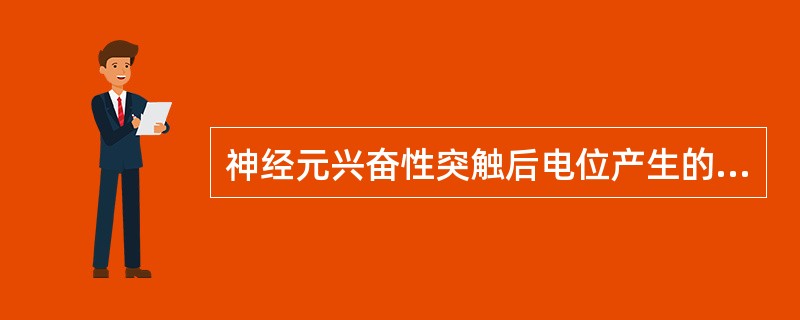 神经元兴奋性突触后电位产生的主要原因是（）。