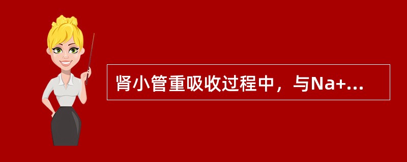 肾小管重吸收过程中，与Na+协同转运的物质有：（）