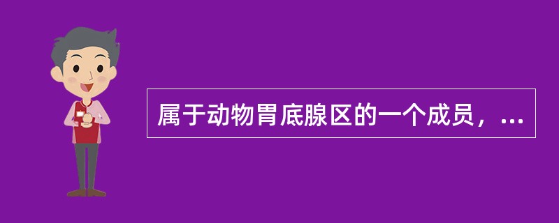 属于动物胃底腺区的一个成员，可分泌碱性粘液的是（）