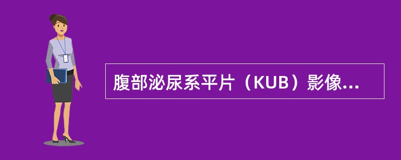 腹部泌尿系平片（KUB）影像细节显示指标为（）