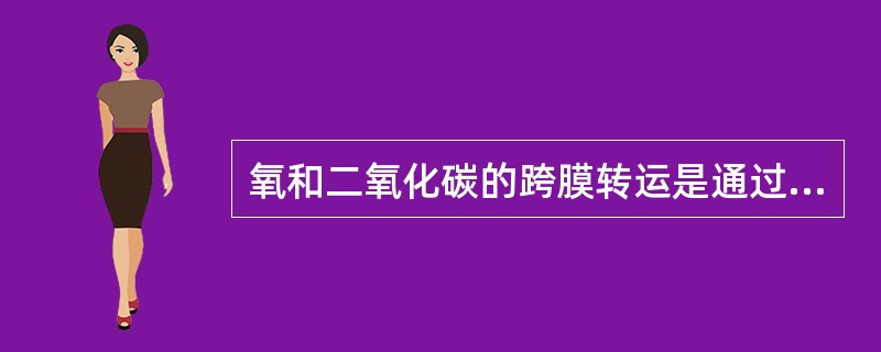 氧和二氧化碳的跨膜转运是通过（）。