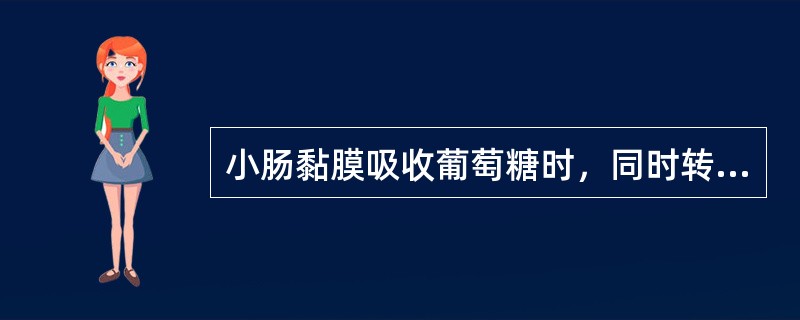 小肠黏膜吸收葡萄糖时，同时转运的离子是（）。