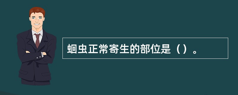 蛔虫正常寄生的部位是（）。