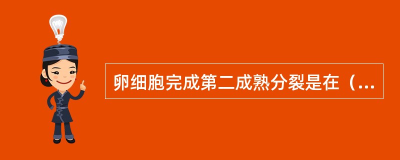 卵细胞完成第二成熟分裂是在（）。