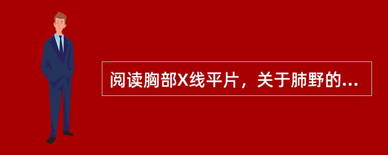 阅读胸部X线平片，关于肺野的叙述，错误的是（）。