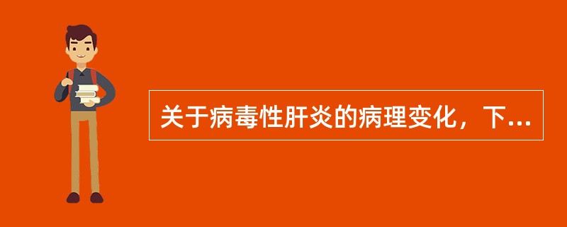 关于病毒性肝炎的病理变化，下列说法正确的是（）。