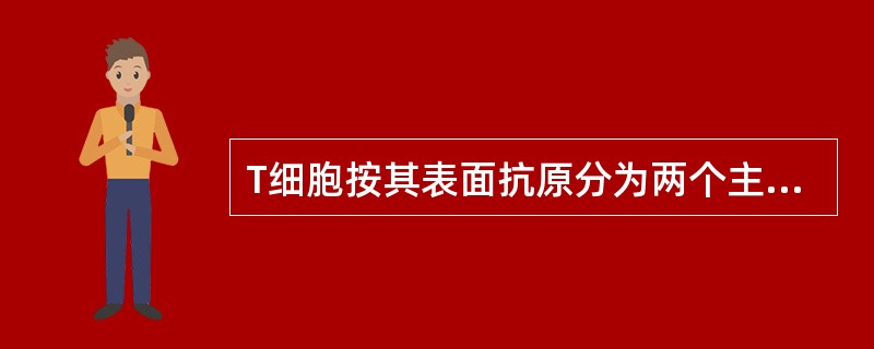 T细胞按其表面抗原分为两个主要亚群，分别是（）。