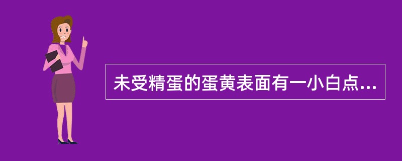 未受精蛋的蛋黄表面有一小白点，称为（）。