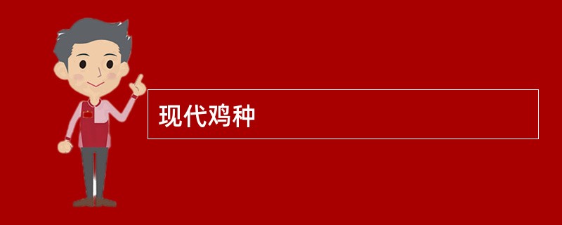 现代鸡种