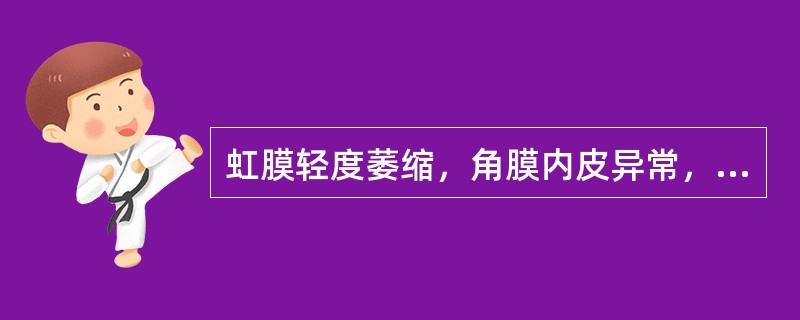 虹膜轻度萎缩，角膜内皮异常，角膜水肿，眼压正常或较高（）