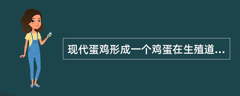 现代蛋鸡形成一个鸡蛋在生殖道内大约需要（）小时。